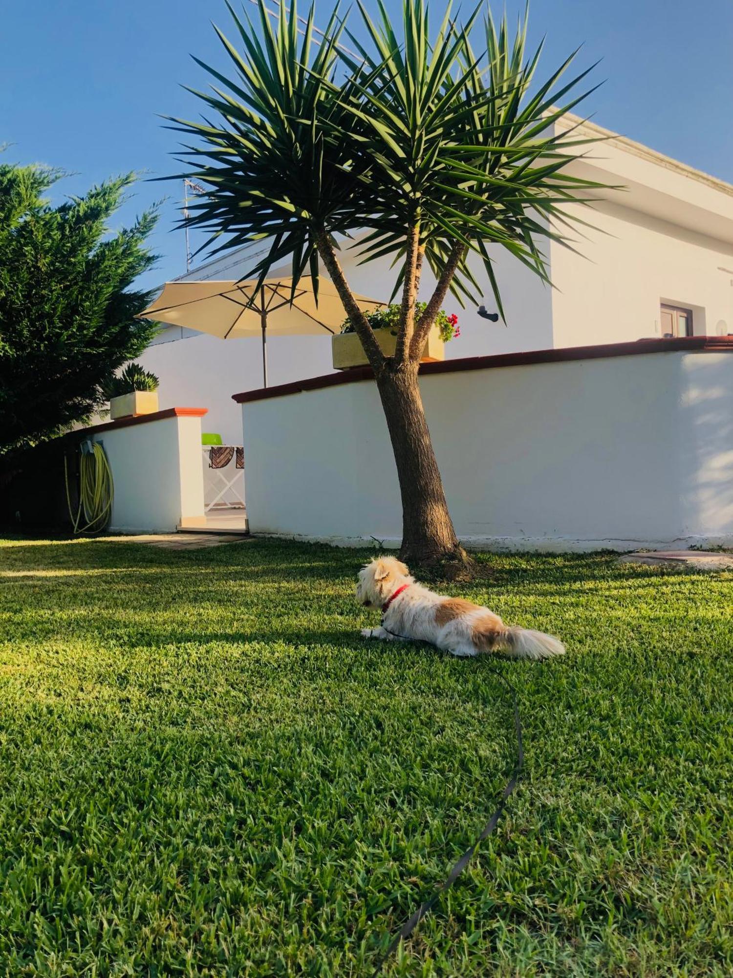 Farm stay Perla Del Salento Otranto