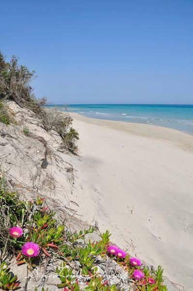 Farm stay Perla Del Salento