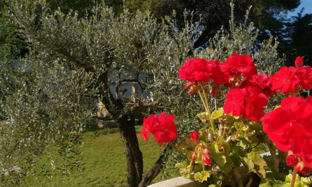 Perla Del Salento Farm stay