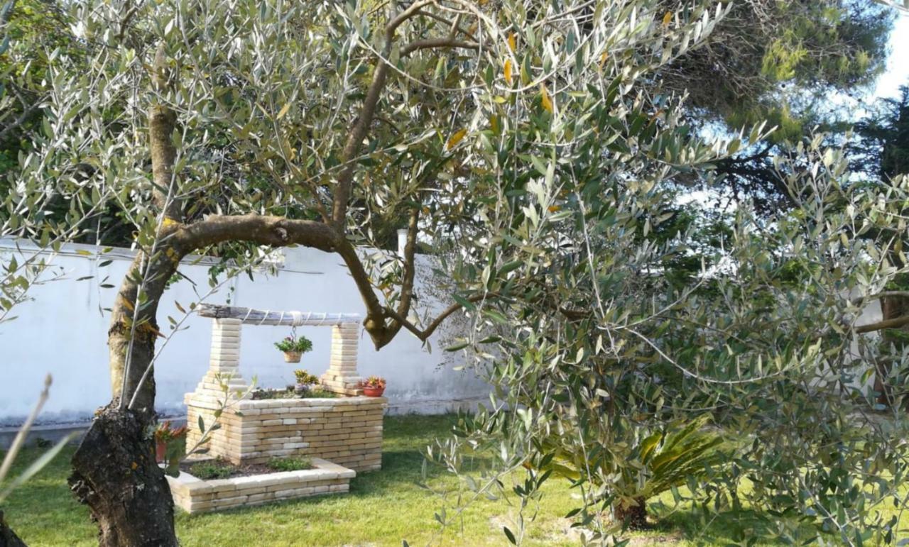 Farm stay Perla Del Salento