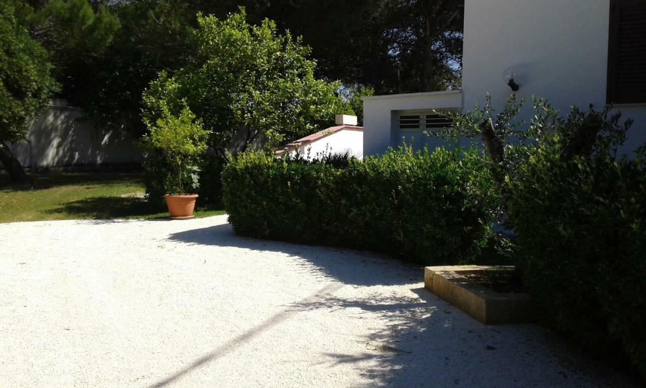 Farm stay Perla Del Salento